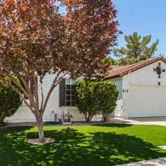 Stunning Cortez - Gilbert