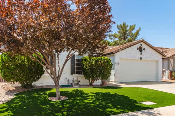 Stunning Cortez - Gilbert - Image 1