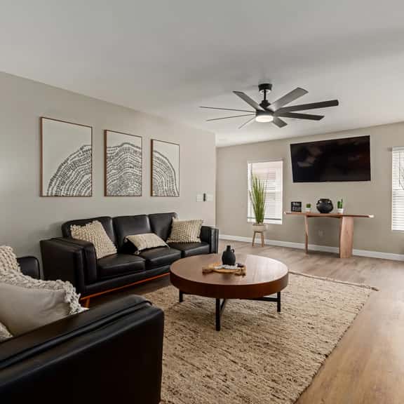 Stunning Willow - El Mirage - Image 1