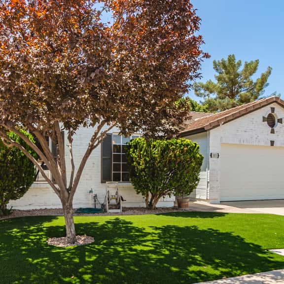 Stunning Cortez - Gilbert - Image 1