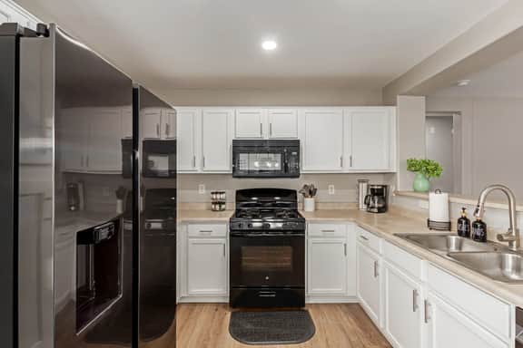 Stunning Willow - El Mirage - Image 4