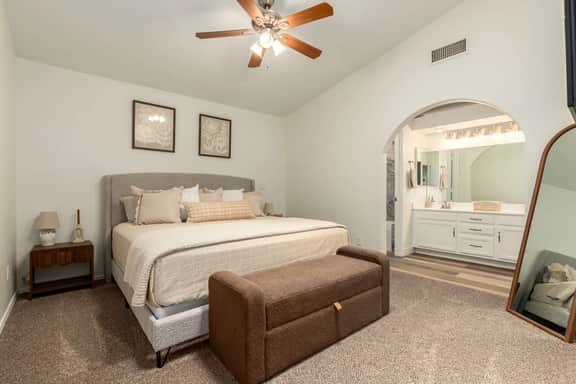 Stunning Cortez - Gilbert - Image 5