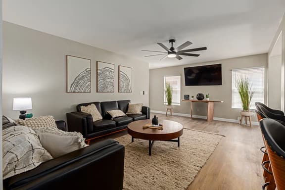Stunning Willow - El Mirage - Image 1