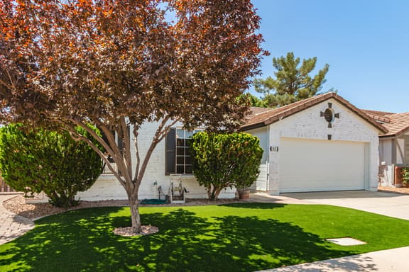 Stunning Cortez - Gilbert - Image 1